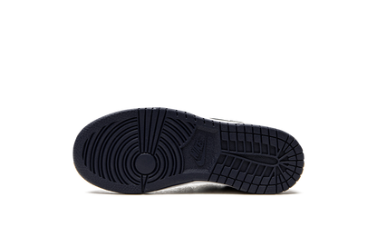 Dunk Low PS "NBA 75th Anniversary - Brooklyn Nets" DC9564 001
