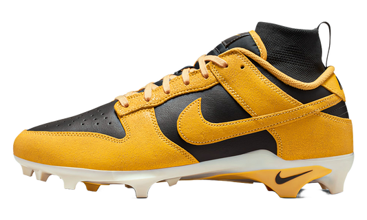 Alpha Menace Dunk "Iowa" HV6925 001